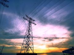 -宝安西湾红树林湿地公园