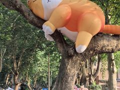 -西安电影制片厂