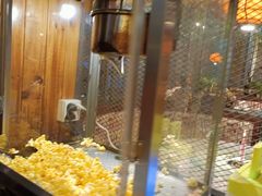 -湘当爱·鲜煮现炒(松岗立业路店)