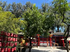 -中卫御苑福膳·养生局(圆明园店)