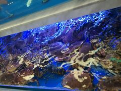 -青石桥市场北1-27号