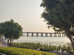 -宝安西湾红树林湿地公园