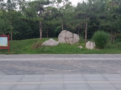 -莲花池公园