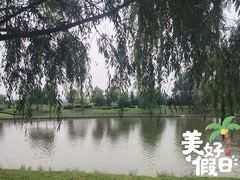 -羊亭河湿地公园