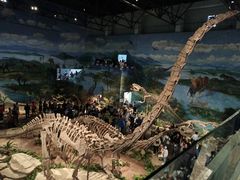 -自贡恐龙博物馆