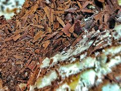 -味多美蛋糕(六里桥店)