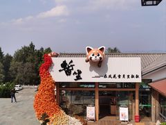 -苍山感通索道