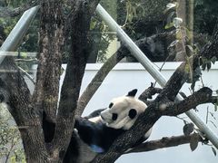 -无锡动物园·太湖欢乐园