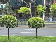 -金刚山烧烤(红旗大街店)