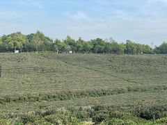 -南京市江宁方山