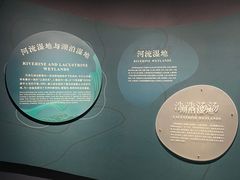 -中国湿地博物馆