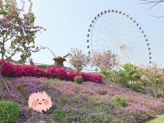 -汕头星城湾欢乐世界