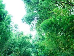 -同里国家湿地公园