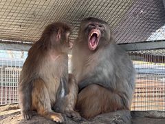 -北京市海淀外国语实验学校