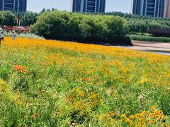 -人杰湖公园(地铁站)