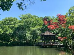 -浙江西子宾馆·牡丹厅