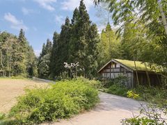 -重庆雨台山风景区