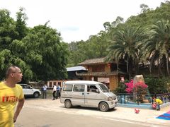 -大屏嶂森林公园