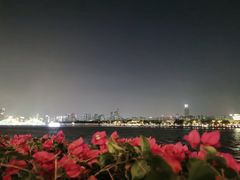-珠江夜游广州塔·中大码头