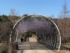 -同里国家湿地公园