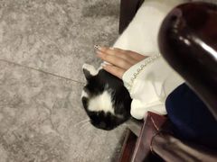 -一盃山水咖啡茶馆