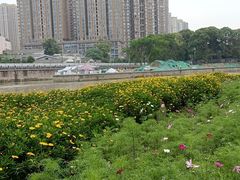-望江楼公园