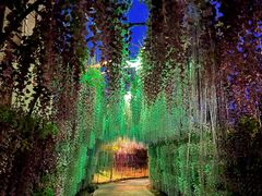 -郑州银基黄帝宫御温泉