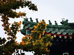 -天津大悲禅院