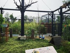 -武汉动物园