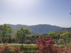 -江南天池