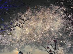 -花博汇(知音花月夜)