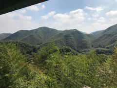 -宁波浙东大竹海景区