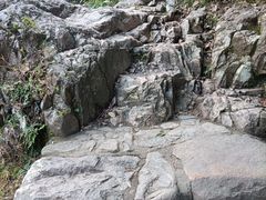 -大奇山国家森林公园