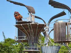 -石家庄市动物园