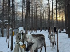 -北极村旅游风景区