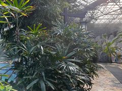 -瑞阁温泉酒店温泉中心