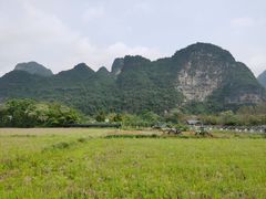-明仕田园