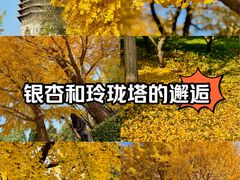 -玲珑塔公园
