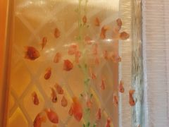 -Acqua海蓝意大利餐厅