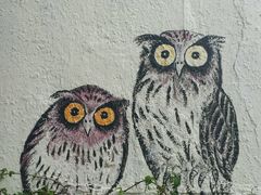 -槟城街头艺术街区