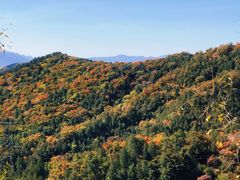 -北京十三陵国家森林公园蟒山景区
