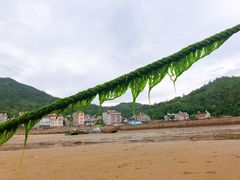 -小皓村