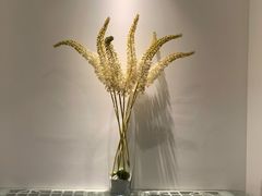 -武夷山旧街壹号溪岸旅馆(三姑度假区店)