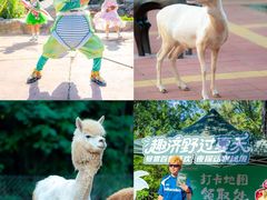 -济南野生动物世界