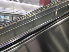 -望京西(地铁站)