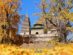 -北京石刻艺术博物馆