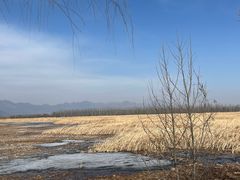 -野鸭湖国家湿地公园