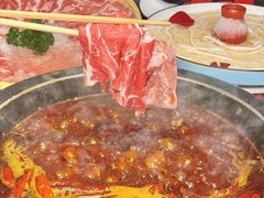 -蜀大侠火锅(总府路店)