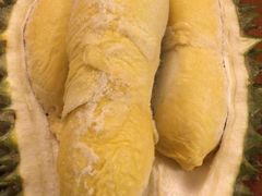 -都念榴莲·城市榴莲