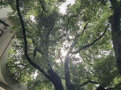 -湖北美术学院(昙华林校区)